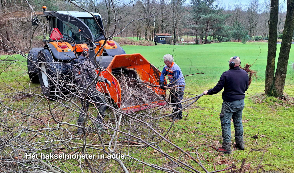 Zagen, zagen, wiede, wiede wagen... - Schaerweijde Golf Zeist