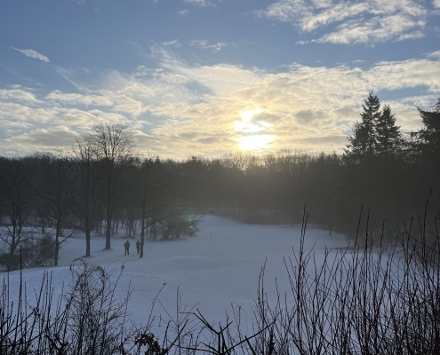 Snoeidag 1